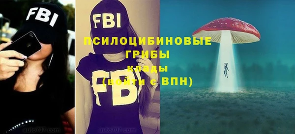 мдма Ладушкин