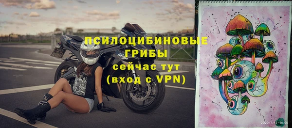 мдма Ладушкин