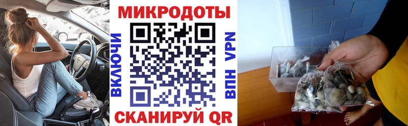 Псилоцибиновые грибы GOLDEN TEACHER  мориарти наркотические препараты  Яблоновский 
